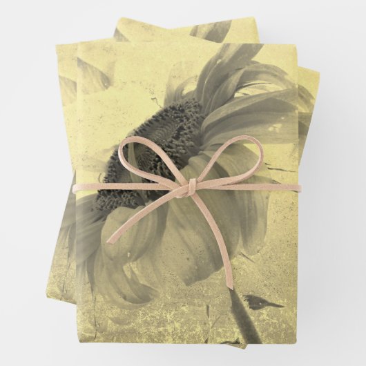 Sepia Tone Sunflower Grunge Textuur Inpakpapier Vel (In situ)