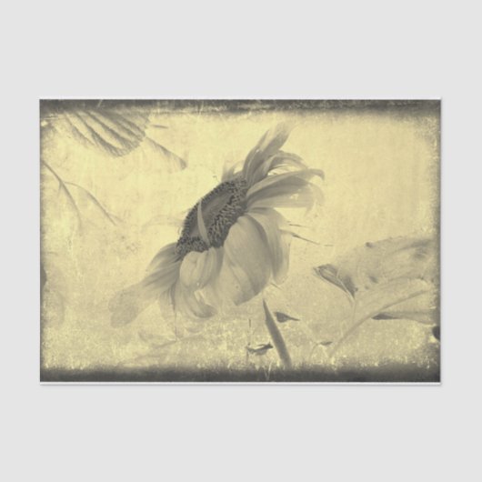 Sepia Tone Sunflower Grunge Textuur Tissuepapier (Voorkant)