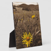 Sepia tone Yellow wildbloemen Fotoplaat (Zijkant)