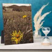 Sepia tone Yellow wildbloemen Fotoplaat (Zijkant)