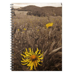 Sepia tone Yellow wildbloemen Notitieboek