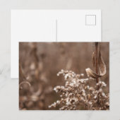 Sepia Tones Briefkaart (Voorkant / Achterkant)