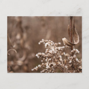 Sepia Tones Briefkaart