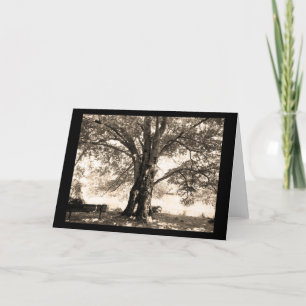 Sepia Tree-Wenskaart Kaart