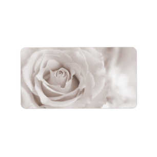 Sepia White & Cream Roos Achtergrond Aangepast Etiket