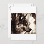 Sepia Wolf en Moon Briefkaart (Voorkant / Achterkant)