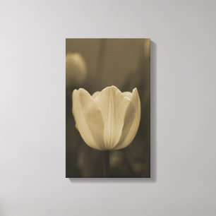 Sepiatint enkele tulp bloesem van dichtbij canvas afdruk