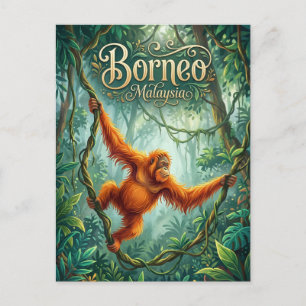 Sepilok Orangutan Rehabilitatiecentrum Maleisië Briefkaart