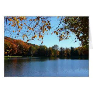 Sept sources Automnes Arbres et Étang