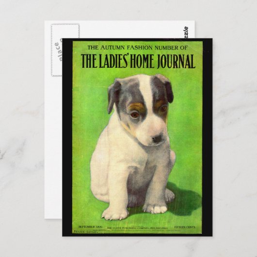 September 1906 Damesdagblad cover puppy Briefkaart (Voorkant / Achterkant)