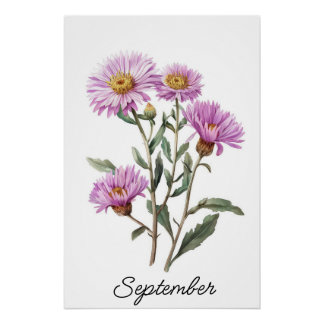 September Aster Geboorte Bloem Botanisch Perfect Poster
