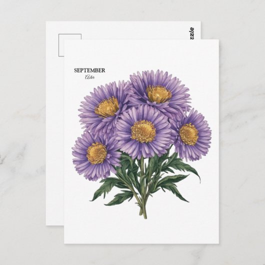 September Aster Geboorte Maand Custom Bloemen Kuns Briefkaart (Voorkant / Achterkant)