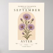 September Aster Geboortebloem Poster (Voorkant)