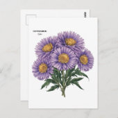 September Aster Geboortemaand Aangepaste Bloemkuns Briefkaart (Voorkant / Achterkant)