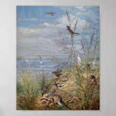 september | Fidelia Bridges Poster (Voorkant)