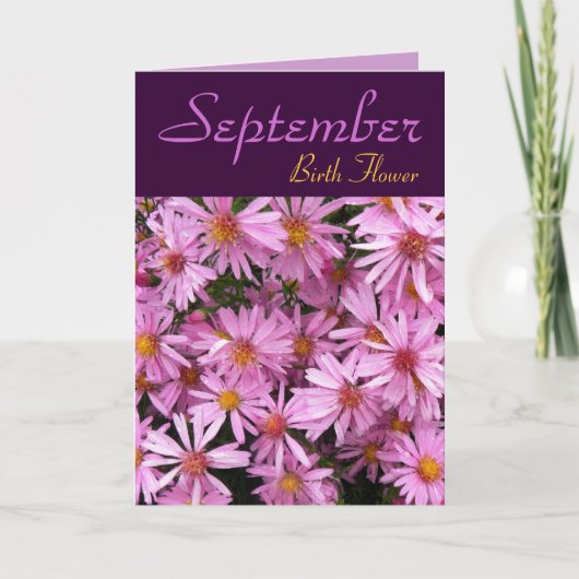 September Geboortebloem - Aster Note Kaart (Voorkant)