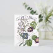 September maand Bloemen Aster Morning Glory Fancy Briefkaart (Staand voorkant)