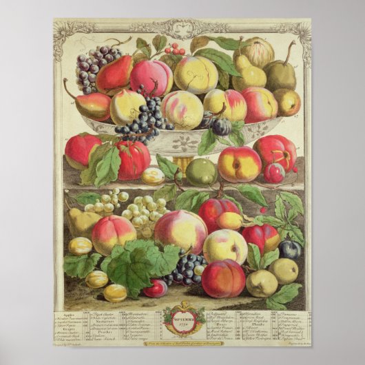 september, uit 'Twaalf maanden fruit' Poster (Voorkant)