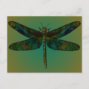 September Wing Dusk Briefkaart
