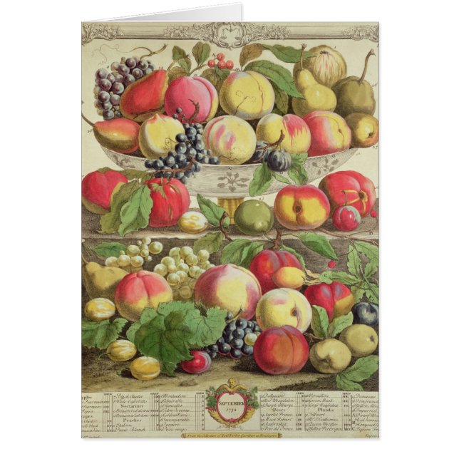 Septembre, de 'douze mois de fruits (Devant)