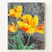 Séquence de trois tulipes jaunes / Journal (Dos)