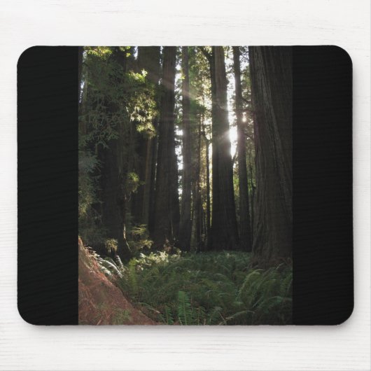 sequobossen muismat (Voorkant)