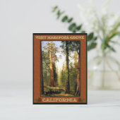 Sequoia bomen bij Mariposa Grove Briefkaart (Staand voorkant)