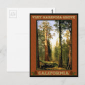 Sequoia bomen bij Mariposa Grove Briefkaart (Voorkant / Achterkant)
