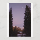 Sequoia Briefkaart (Voorkant)