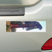 Sequoia Bumpersticker (Op auto)
