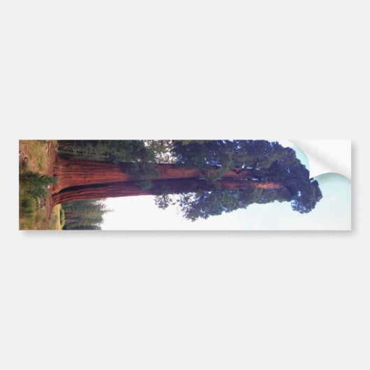 Sequoia Bumpersticker (Voorkant)