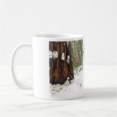 Séquoia dans la tasse de neige (Gauche)