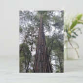 Sequoia Flat Kerstkaart (Staand voorkant)