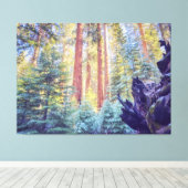 Sequoia Forest Canvas Afdruk (Insitu (Houten vloer))