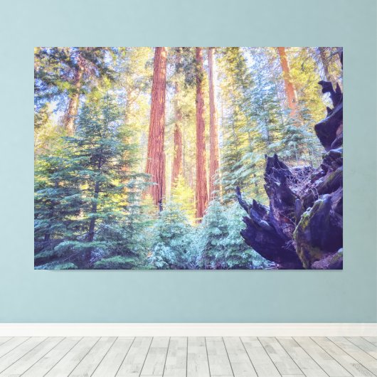 Sequoia Forest Canvas Afdruk (Insitu (Houten vloer))
