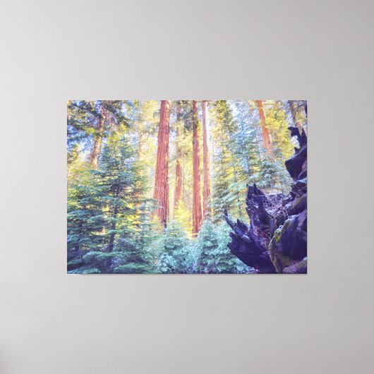 Sequoia Forest Canvas Afdruk (Voorkant)