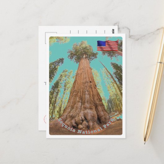 Sequoia - General Sherman Tree - Verenigde Staten  Briefkaart (Voorkant / Achterkant in situ)
