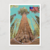 Sequoia - General Sherman Tree - Verenigde Staten  Briefkaart (Voorkant)