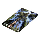 Sequoia Kings Canyon Magnet (Côté Gauche)