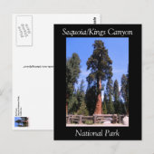 Sequoia Kings Canyon National Park Briefkaart (Voorkant / Achterkant)