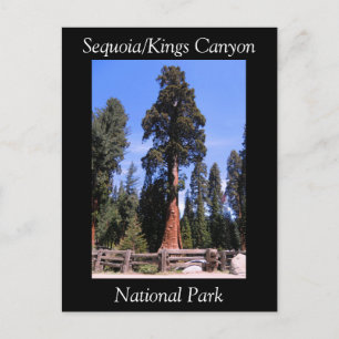 Sequoia Kings Canyon National Park Briefkaart