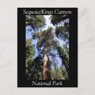 Sequoia Kings Canyon National Park Briefkaart