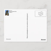 Sequoia Kings Canyon National Park Briefkaart (Achterkant)
