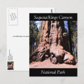 Sequoia Kings Canyon National Park Briefkaart (Voorkant / Achterkant)
