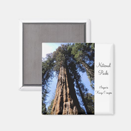 Sequoia/Kings Canyon National Park Magnet (Recto/Verso)