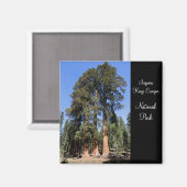 Sequoia/Kings Canyon National Park Magnet (Recto/Verso)