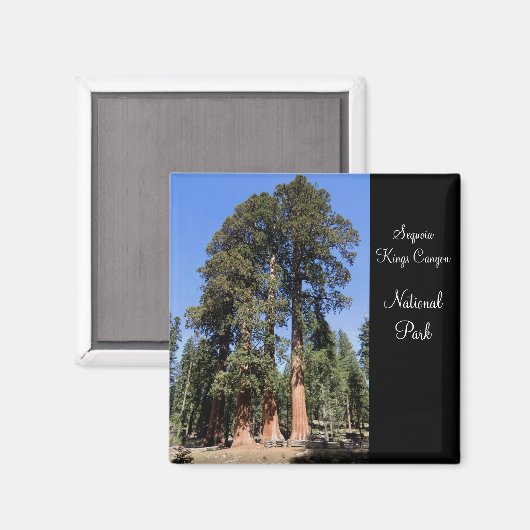 Sequoia/Kings Canyon National Park Magnet (Recto/Verso)