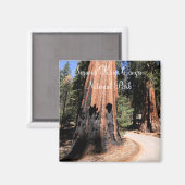 Sequoia/Kings Canyon National Park Magnet (Recto/Verso)