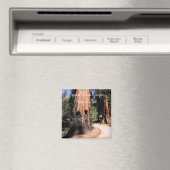 Sequoia/Kings Canyon National Park Magnet (In Situ (Lave-vaisselle))