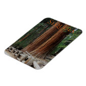 Sequoia/Kings Canyon National Park Magnet (Côté Gauche)